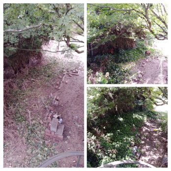 The Goat Lady - Landscaping Near Me The Goat Lady - Landscaping Near Me