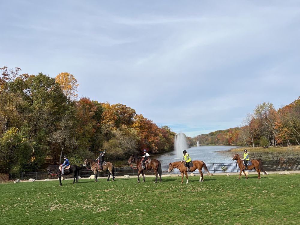 GARRET MOUNTAIN EQUESTRIAN CENTER 26 Photos 1 Park Rd, Paterson, NJ