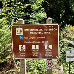 Simpson Reed Grove Trail - Info about the trail