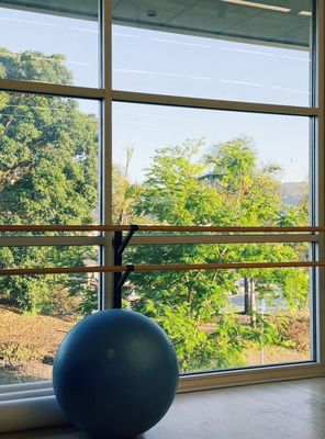 Palomar College by null