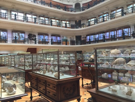 Museo Geominero by null