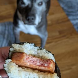 Someone wants my Spam musubi