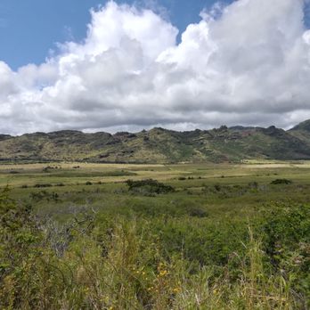 CJM Stables - Greenery for days - Horseback Riding Near Me