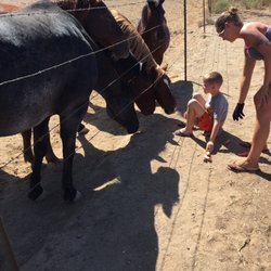 Family bonding.