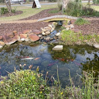 Red's Restaurant - Koi pond! - Breakfast & Brunch Near Me - Hernando, Florida