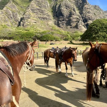 Kualoa Ranch - Tours Near Me - Kaneohe, Hawaii