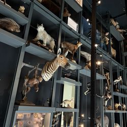 Musée Zoologique