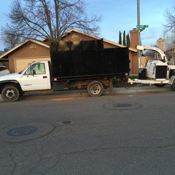 Cedar Tree Care - Tree Services Near Me - Valley Springs, California Cedar Tree Care - Tree Services Near Me - Valley Springs, California
