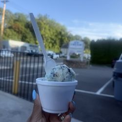 The Ice Cream Shoppe