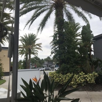 Canvas - View from porch - New American Near Me - Orlando, Florida