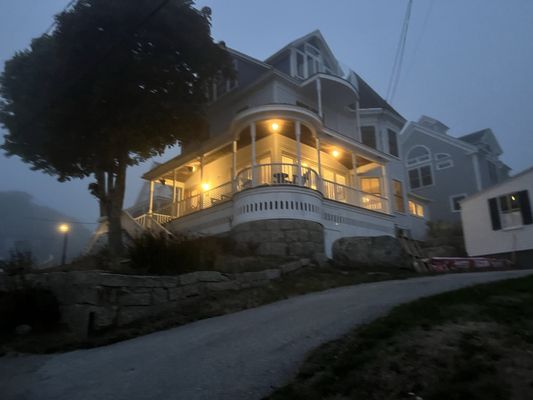 Fin and Fern by null