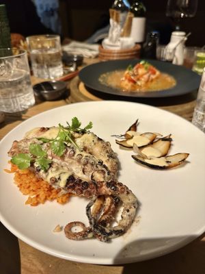 ANIMAL Tijuana by null