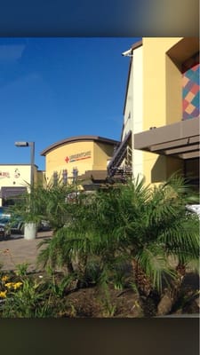 Cauldron Ice Cream by null