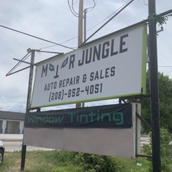 Motor Jungle - Business sign out front of shop