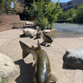 Parfet Park - Return of the Cutthroat. - Parks Near Me - Golden, Colorado Parfet Park - Return of the Cutthroat. - Parks Near Me - Golden, Colorado