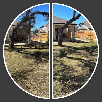 Lonestar Lawn & Landscape - Tree Relocation - Lawn Services Near Me Lonestar Lawn & Landscape - Tree Relocation - Lawn Services Near Me