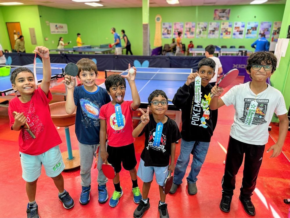 Fremont Table Tennis Academy Logo