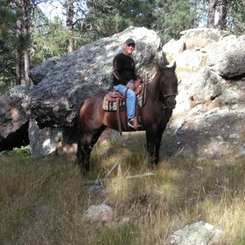 Hollingsworth Horses - Horseback Riding Near Me - Custer, South Dakota Hollingsworth Horses - Horseback Riding Near Me - Custer, South Dakota
