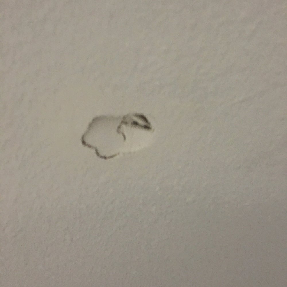 Ashley Inn - Hole in wall. - Hotels Near Me - Ashley, North Dakota Ashley Inn - Hole in wall. - Hotels Near Me - Ashley, North Dakota