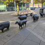 Photo of Sheep on the Road