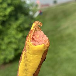 Pronto Pups