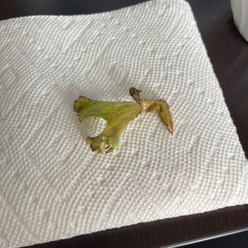 Panera Bread - piece of lettuce found on my sandwich - Sandwiches Near Me - Ankeny, Iowa Panera Bread - piece of lettuce found on my sandwich - Sandwiches Near Me - Ankeny, Iowa