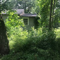 Green Machine Lawn Care Service - Before photo of lawn over grown