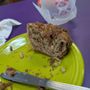 Photo of Chocolate Iguana