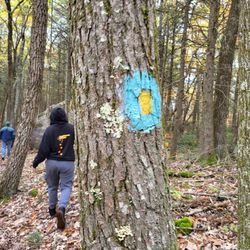 American Legion & People’s State Forests
