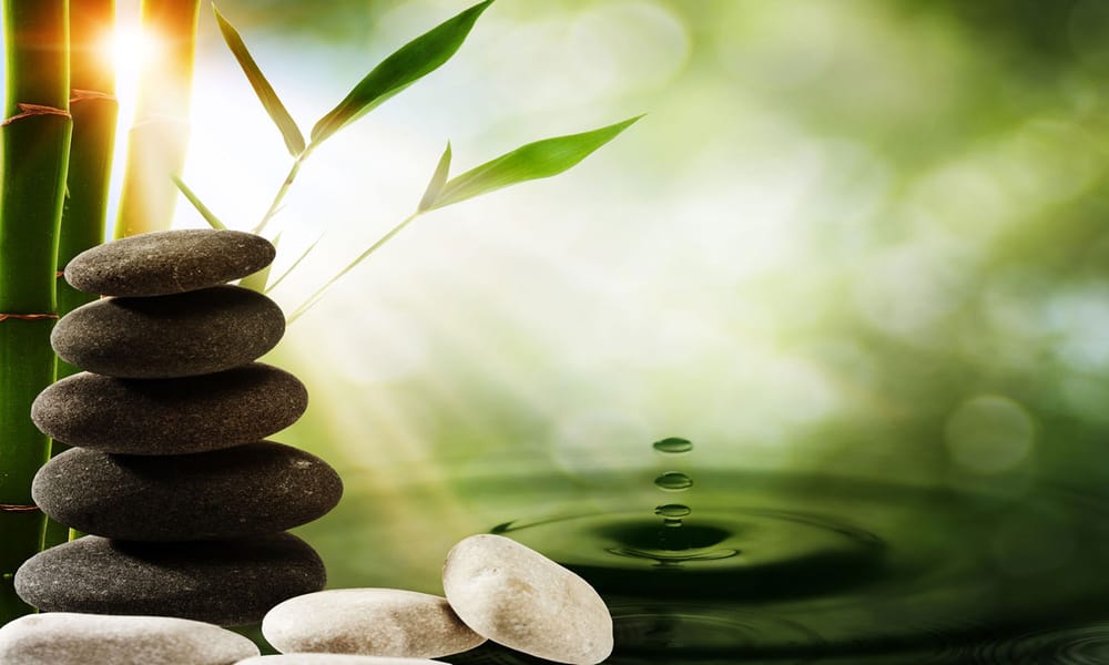 STEFANIE COTTER ACUPUNCTURE 17 Indian Rock Plz, Suffern, New York Acupuncture Phone Number