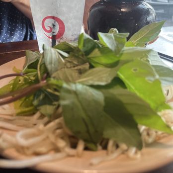 All About Pho - Basil, bean sprouts, and water. - Vietnamese Near Me - Cerritos, California All About Pho - Basil, bean sprouts, and water. - Vietnamese Near Me - Cerritos, California