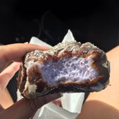 Photo of Kamehameha Bakery - Honolulu, HI, United States. Poi donut