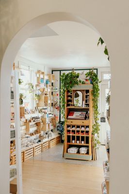 THE COLLECTIVE by null