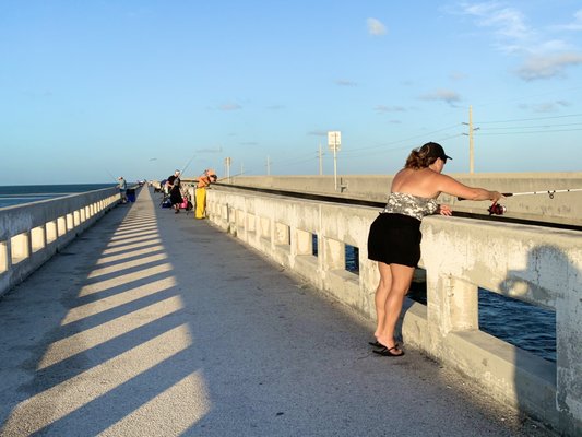 Seven Mile Bridge by null