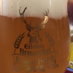 Braugasthof Brauner Hirsch