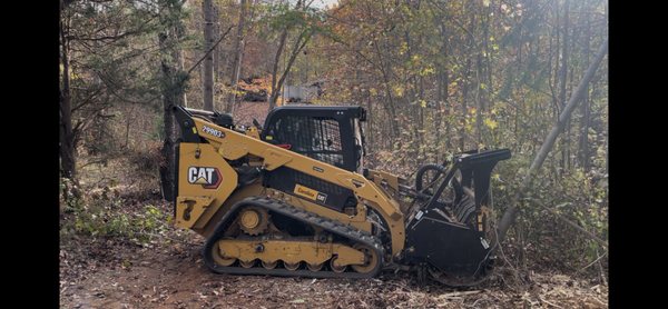 Stump removal - Remove troublesome stumps Stump removal - Remove troublesome stumps