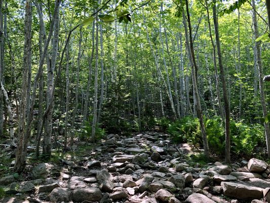 Beehive Trail by null