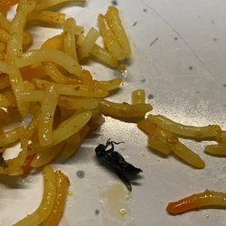 Spicy Grille