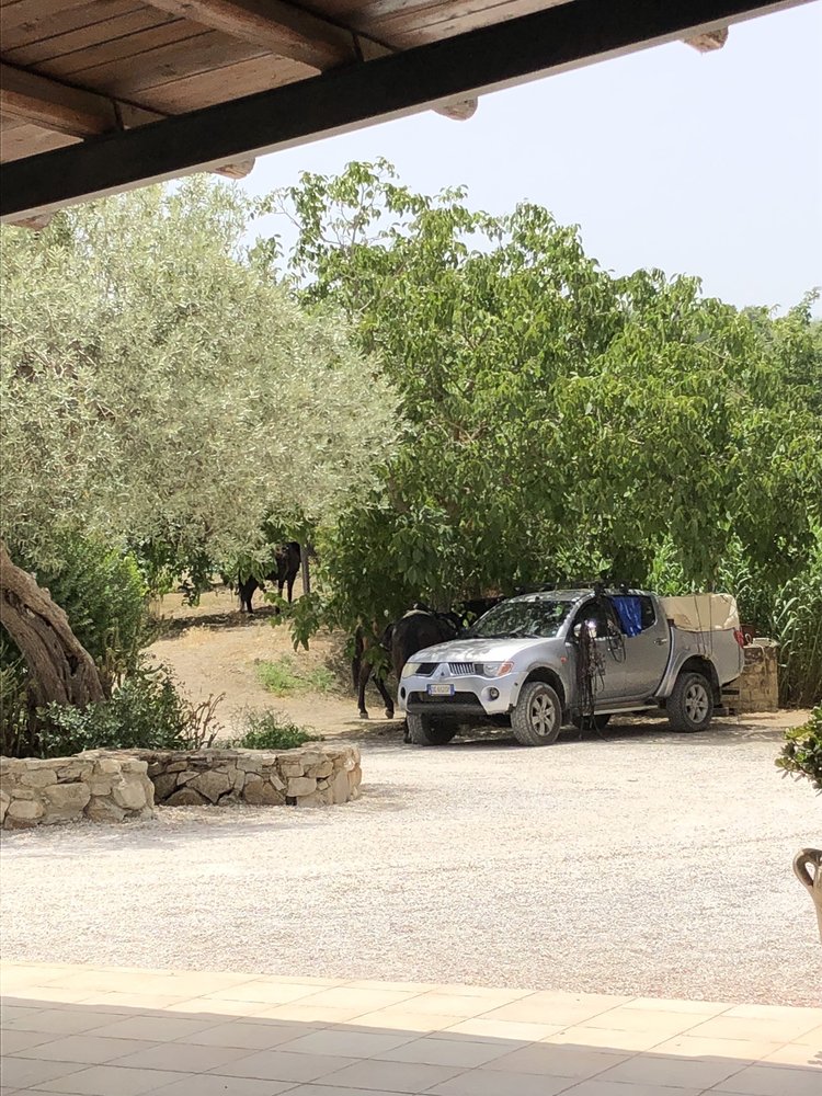 PRINCIPE DI ARAGONA Updated April 2024 C.da Fontana Vicario