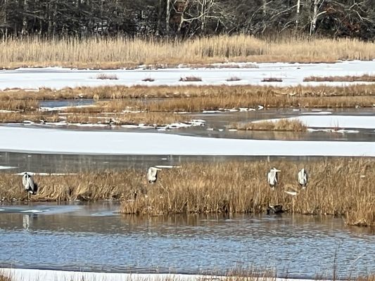 Rocky Neck State Park by null