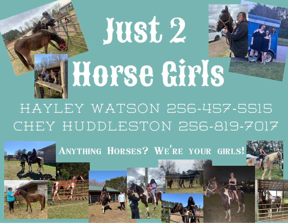 Just 2 Horse Girls - equestrian in Huntsville, AL