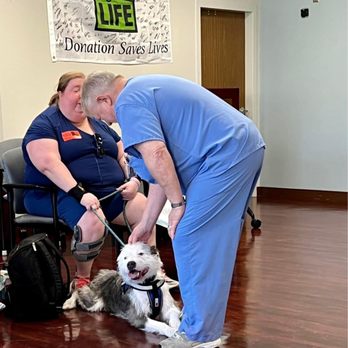 Pawfection Dog Training - Fury giving some love to hospital workers. - Pet Training Near Me Pawfection Dog Training - Fury giving some love to hospital workers. - Pet Training Near Me