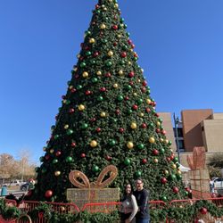 Plaza De Las Cruces - Christmas tree is up!