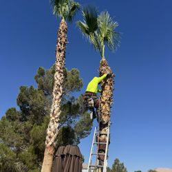 JP Lawn and Garden Services
