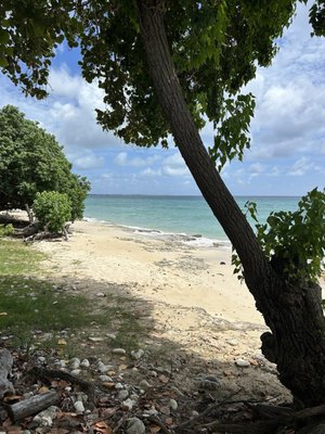Rhythms at Rainbow Beach by null