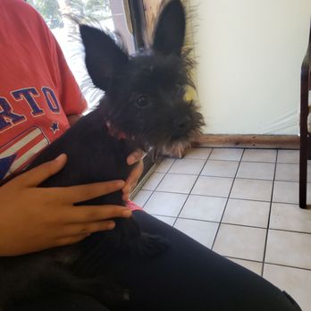 Farley Veterinary Clinic - Veterinarians Near Me - Hollywood, Florida Farley Veterinary Clinic - Veterinarians Near Me - Hollywood, Florida