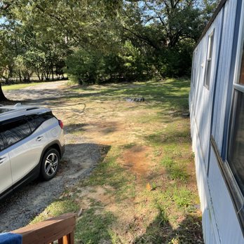 Francisco Landscaping - Tree Services Near Me