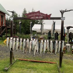 Alaska Fishing & Lodging - Ak fishing and lodging.