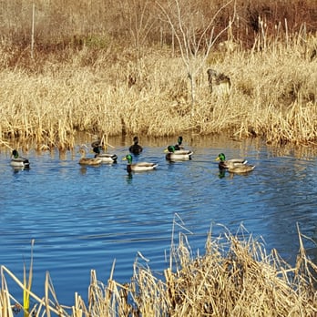 Acushnet Sawmill - Hiking Near Me - New Bedford, Massachusetts