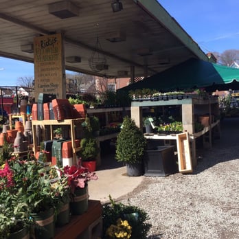 Ricky's Flower Market - Outside - Florists Near Me - Somerville, Massachusetts